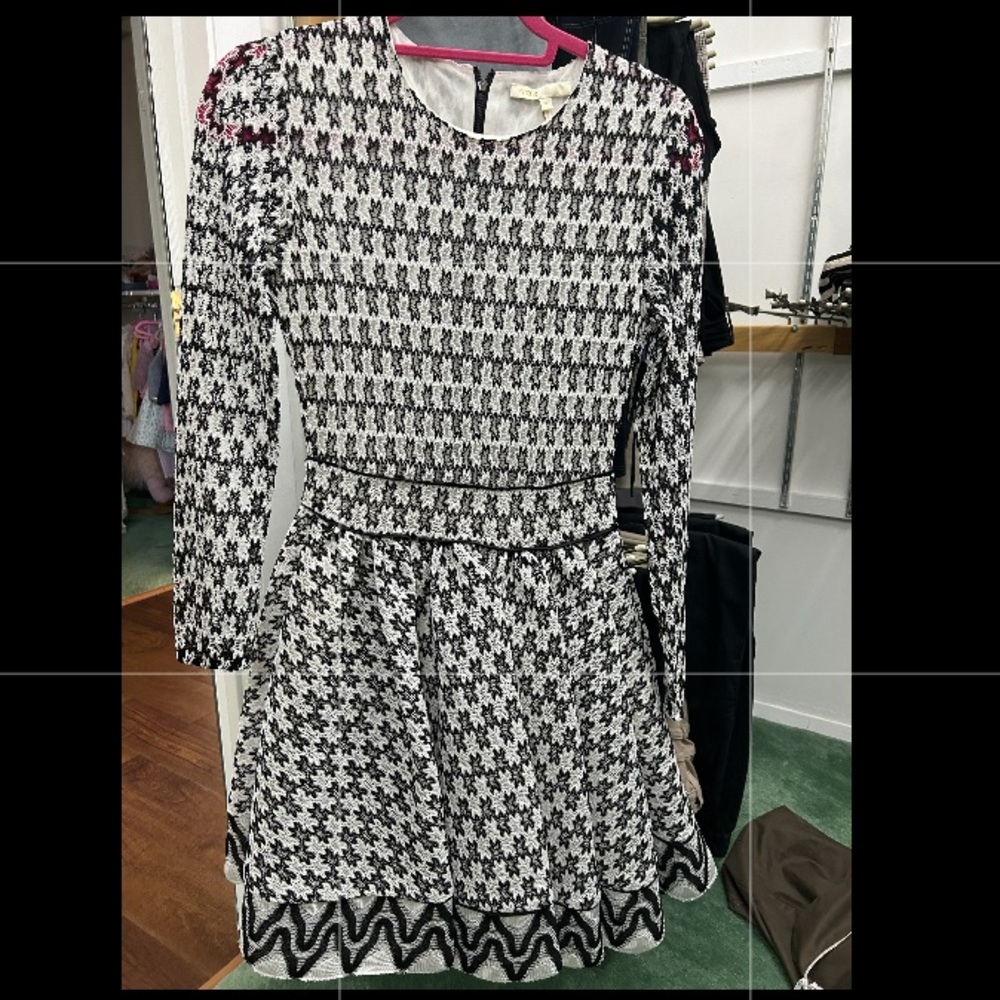 Posh Maje dress!